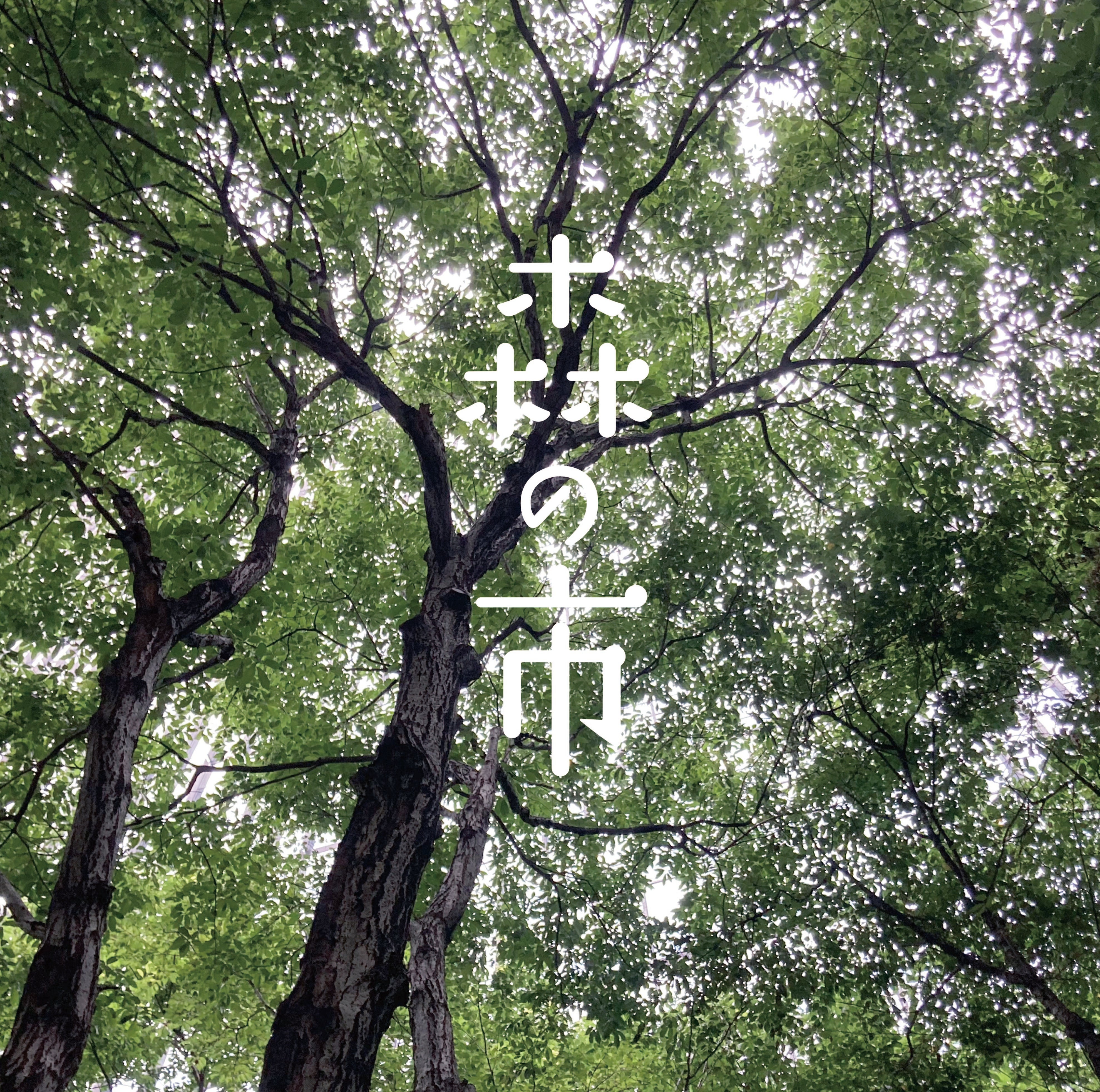EVENT INFO:森の市