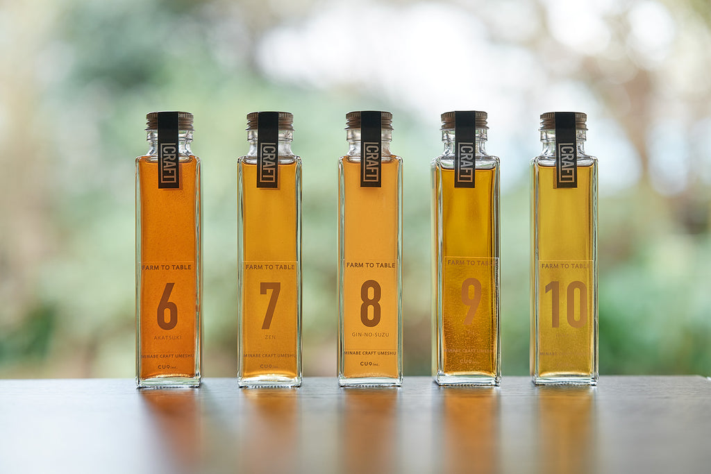 CRAFT UMESHU No.6-10 SELECTION