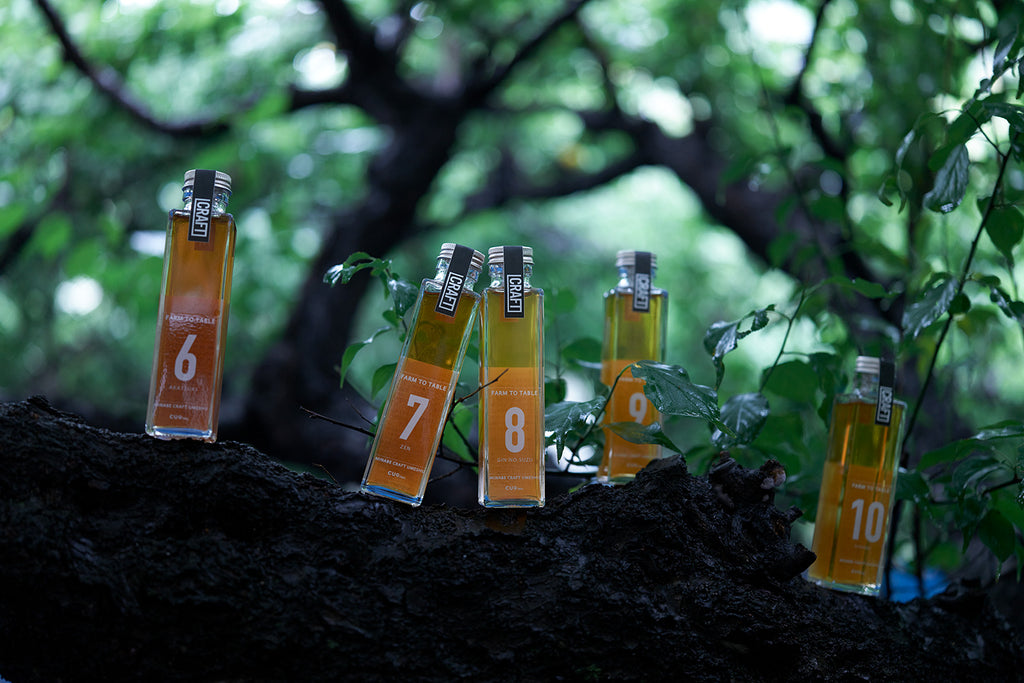 CRAFT UMESHU No.6-10 SELECTION