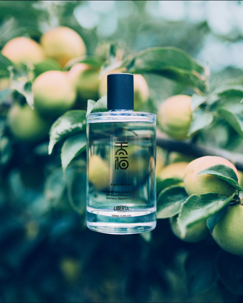 NEW PRODUCT：天梅